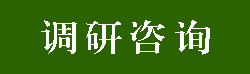调研咨询