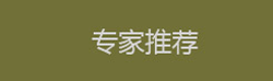 专家推荐